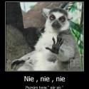 Obrázok