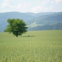 Ukážka z nezaradených obrázkov