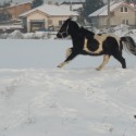 Ukážka z obrázkov v albume taky druhý mix :o)
