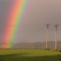 I love  the  Nature....the Sun ...Sky and  Trees....