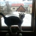 Cyril ;)