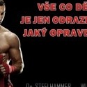 Steelhammer