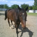 Raymond