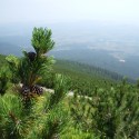 Obrázok