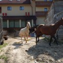 Obrázok