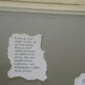 Ukážka z nezaradených obrázkov