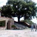 priroda