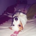 Laska :3