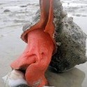 Triplofusus Giganteus na Floride :))
