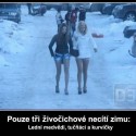 Ukážka z obrázkov v albume sranda