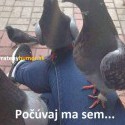 :D :D :D :D :D