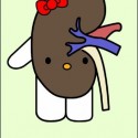 hello kidney