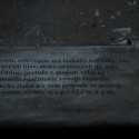 ...čo sme našli pri fotení v starom cukrovare :-)