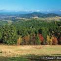 Sumava