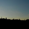 Ukážka z obrázkov v albume Budapest