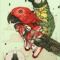 http://www.loviu.com/blogs/view/30