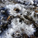 let it snow let it snow let it snow...