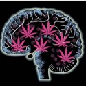 don´t cry, smoke ganja and fly ;)