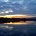 Vištucky rybnik a zapad slnka :)