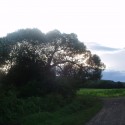 Obrázok