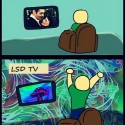 LCD vs LSD