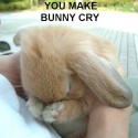 BIG RABBIT DON'T CRY:D