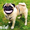 tak to je smile!:D