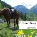 Obrázok