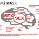 muzsky mozog