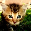 Bill