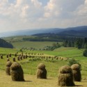 nad Haluszowou smerom na Czsortyn