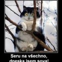 Ukážka z nezaradených obrázkov