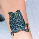 owl is wisdom...owl is mysterious 