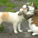 Best Friends Forever:D
