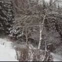 Obrázok