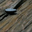 Formes et des Lignes / Bois et des Ongles (Hasselblad H4D-40)