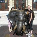 Slon na Maria-Theresia Platz
