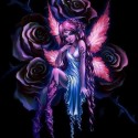 fairy-1-1
