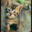 hello!