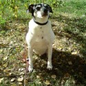 Roxy