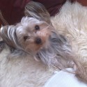 :) mY DarlinG (: