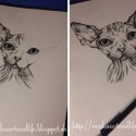 Lebo sú také magické tie Sphinx mačiaky :* 