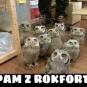 :D :D :D 