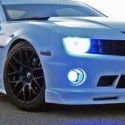 mustang