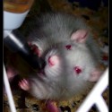 Vilma :)