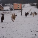 Obrázok