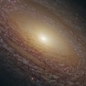 NGC 2841