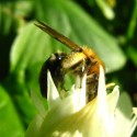 i love nature 3