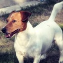 Môj havo ♥ :)