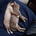 i ja chcem!!! :/